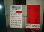 集鸽现场