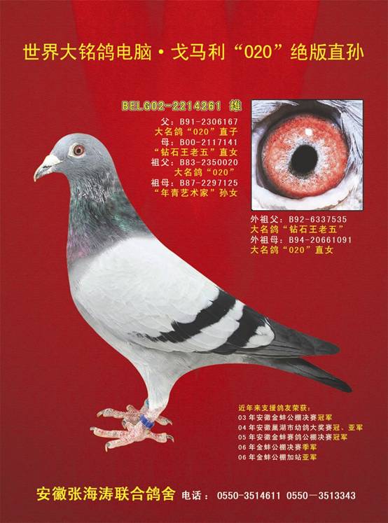张海涛03.JPG