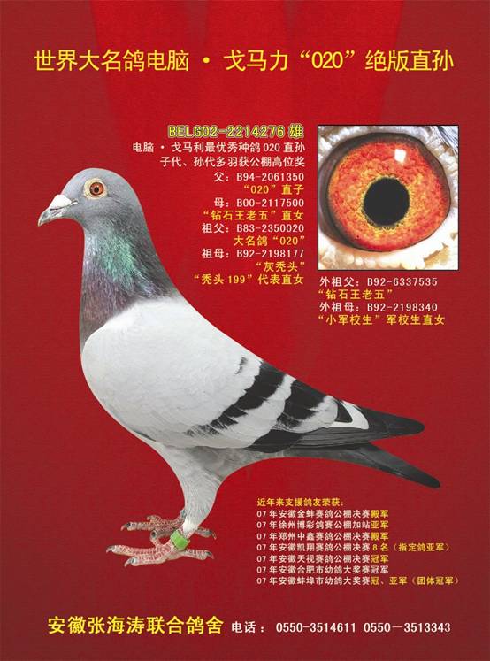 张海涛04.JPG