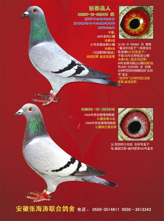 张海涛06.JPG