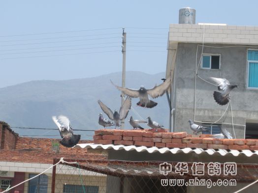 回家