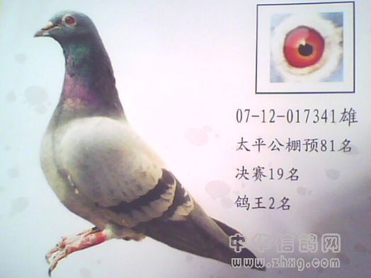 154224金母直子之一