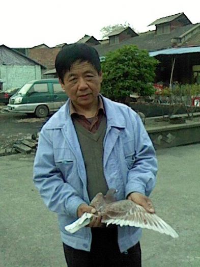 火车头信鸽协会2010年春兖州站冠,亚,季军成绩