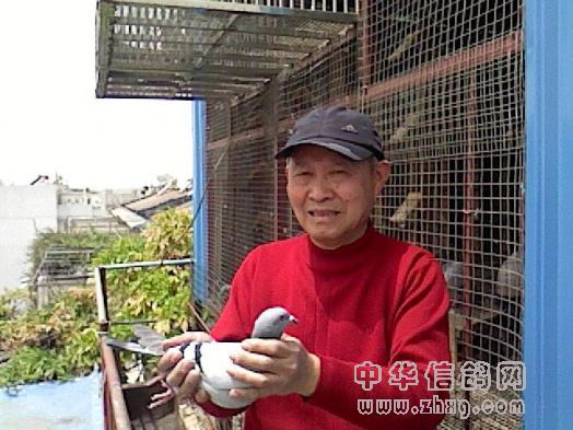 火车头信鸽协会2010年春兖州站冠,亚,季军成绩