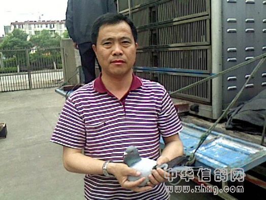 火车头信鸽协会2010年春兖州站冠,亚,季军成绩