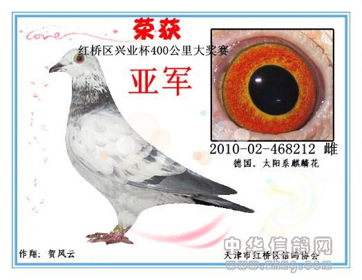 2010-02-468121 400公里亚军