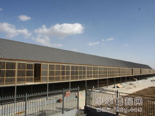宁夏玉翔赛鸽公棚新棚图片 