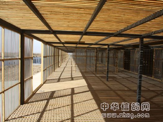 宁夏玉翔赛鸽公棚新棚图片 
