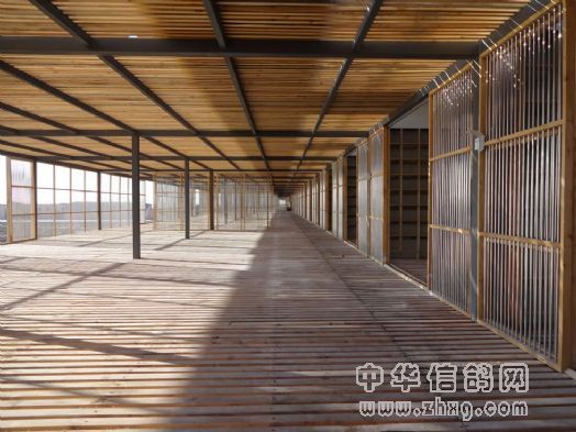 宁夏玉翔赛鸽公棚新棚图片 