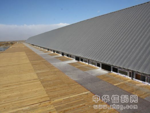 宁夏玉翔赛鸽公棚新棚图片 