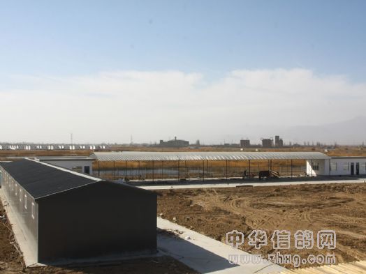 宁夏玉翔赛鸽公棚新棚图片 