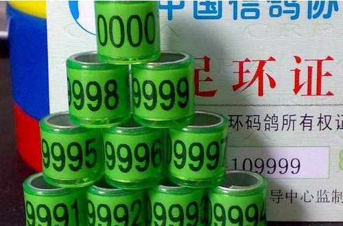 QQ截图20121130152243.jpg